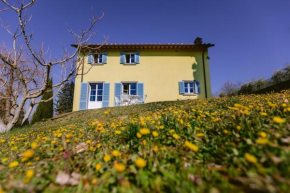 vistaduomo Arezzo